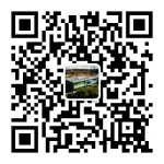 QR code for the Insurance Success WeChat Official Account